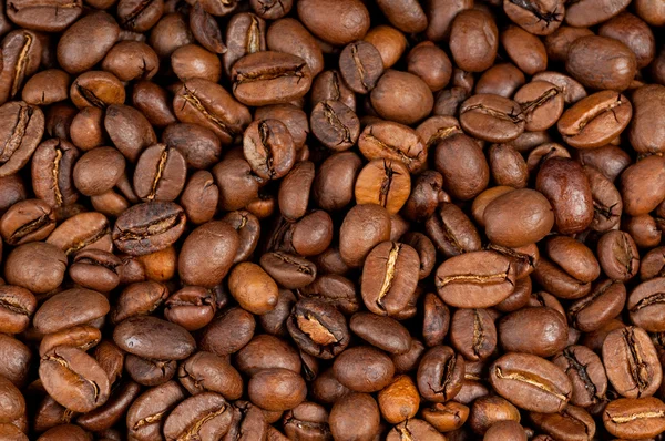 Kaffebönor närbild — Stockfoto