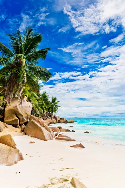 Mooi tropisch strand — Stockfoto