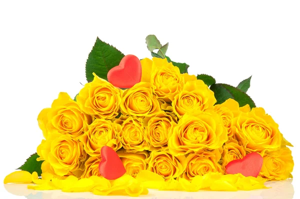 Жовті троянди на білому — стокове фото