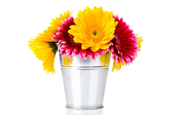 Daisy flowers in the bucket — Stock Photo, Image