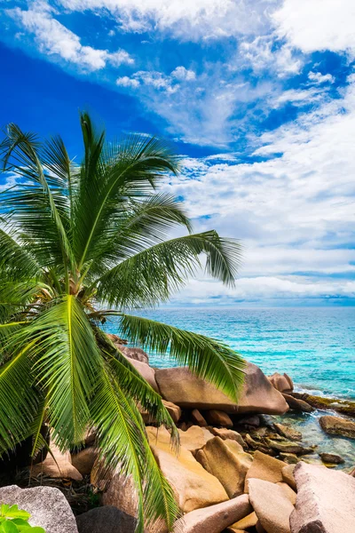 Schöner tropischer Strand — Stockfoto