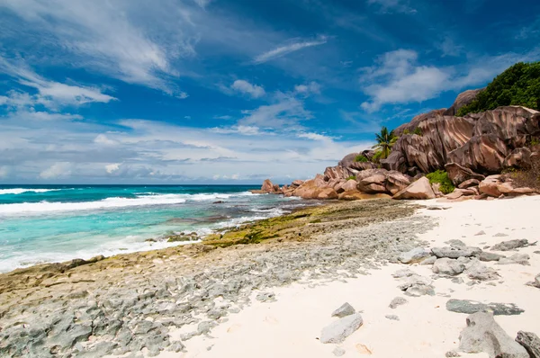 Beautiful tropical beach — Stock Photo, Image