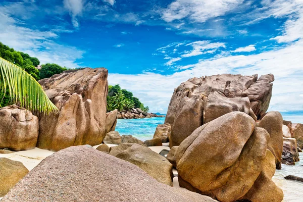 Schöner tropischer Strand — Stockfoto