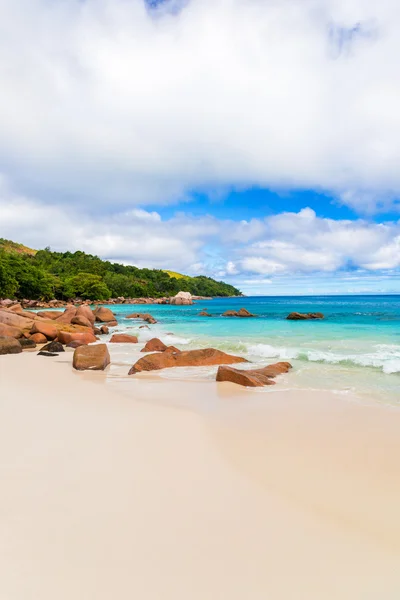 Tropischer Strand — Stockfoto