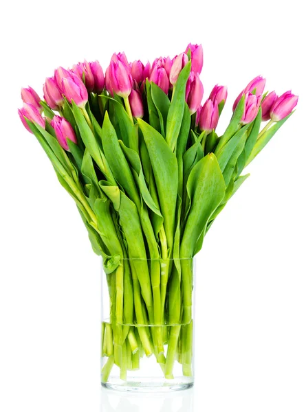 Bouquet of tulips — Stock Photo, Image