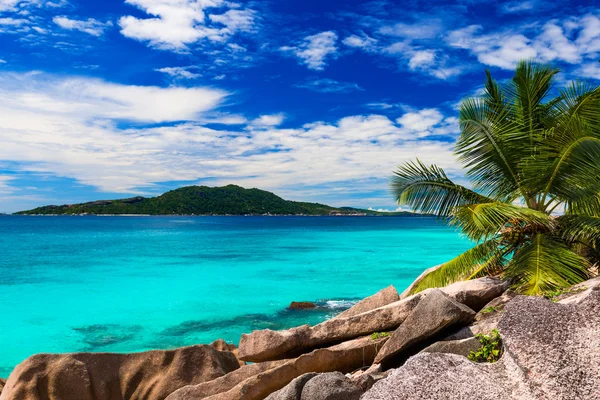 Tropical beach — Stock Photo, Image