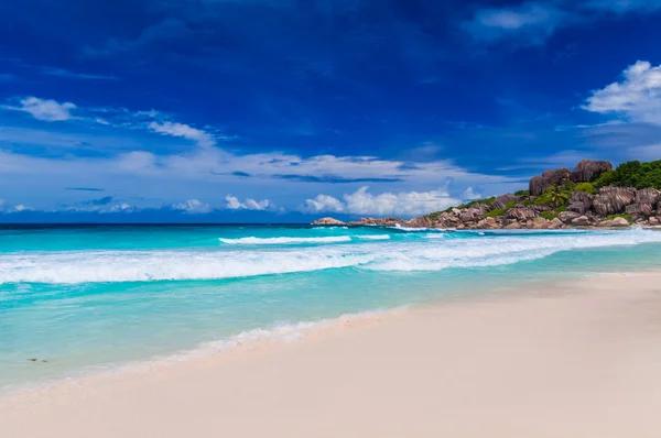 Tropická letní pláž — Stock fotografie