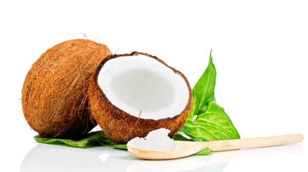 코코넛 나무 스푼으로 — 스톡 사진