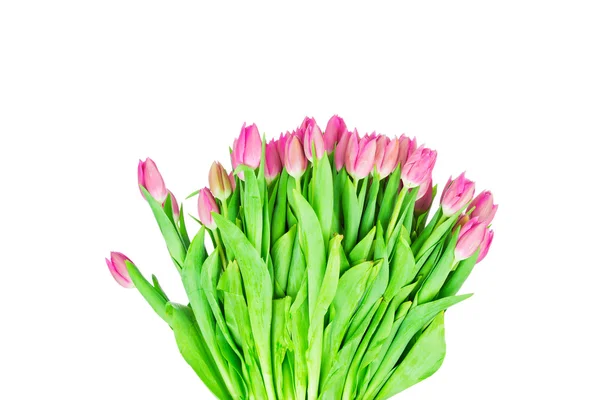 Bouquet de tulipes — Photo