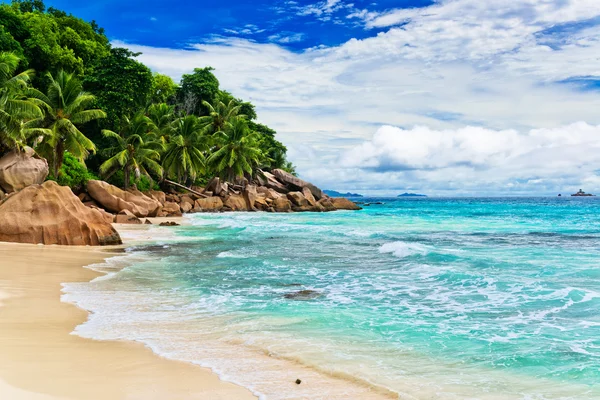 Spiaggia tropicale — Foto Stock