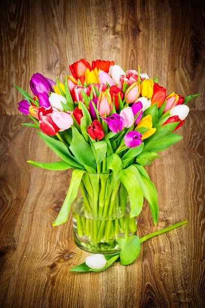 Tulipanes Flores — Foto de Stock