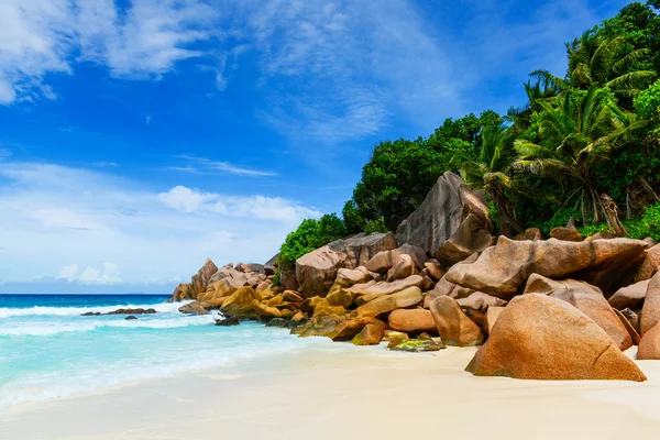 Spiaggia tropicale — Foto Stock