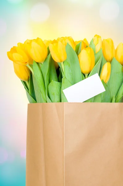 Tulipanes en bolsa de papel — Foto de Stock