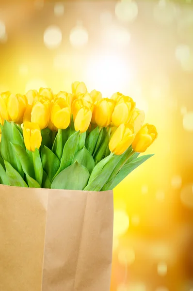 Tulpen in papieren zak — Stockfoto