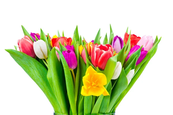 Tulpen in de vaas — Stockfoto