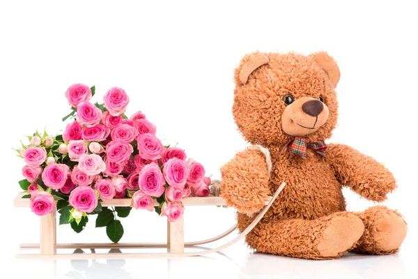 Rozen en teddy bear — Stockfoto