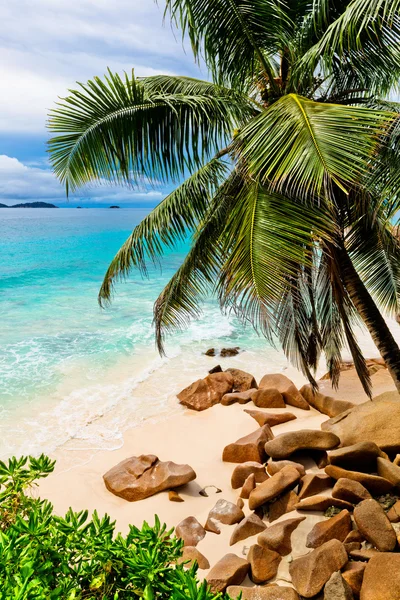 Tropisch strand in Seychellen — Stockfoto