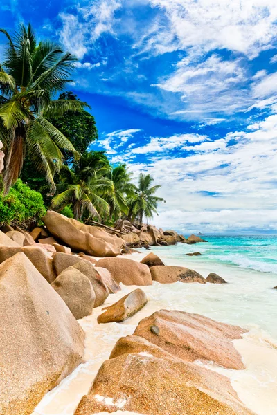 Tropisch strand in Seychellen — Stockfoto