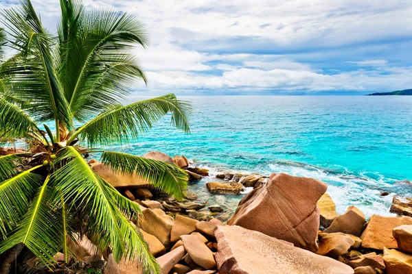 Тропічний пляж у країні Сейшельські острови — стокове фото