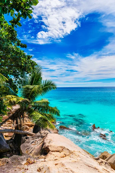 Tropical beach in Seychelles — Stock Photo, Image