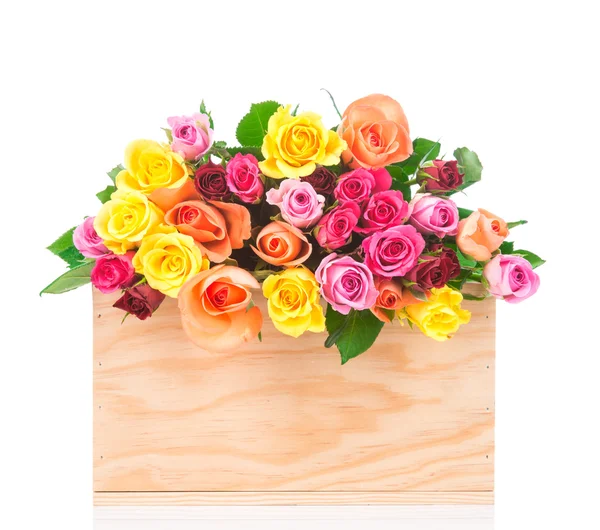 Rosas em caixa isoladas em branco — Fotografia de Stock