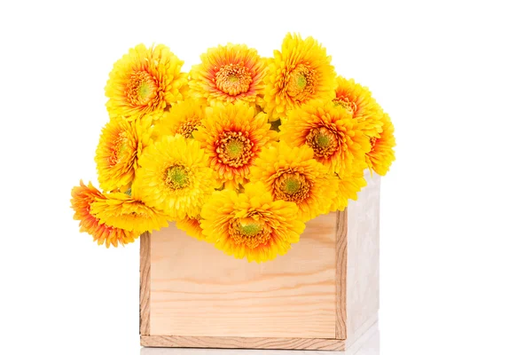 Boeket van bloemen gerber — Stockfoto