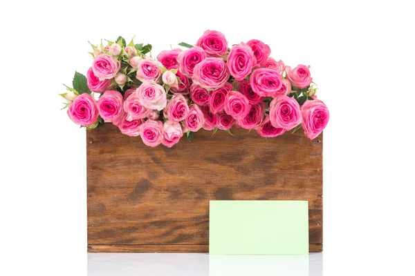 Roses and greeting card — Stock Photo, Image
