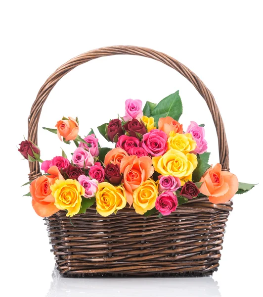 Roses in basket on white — Stock Photo, Image