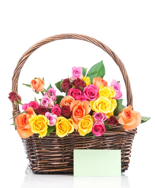 Roses in basket on white — Stock Photo, Image