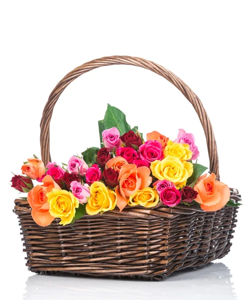 Roses in basket on white — Stock Photo, Image