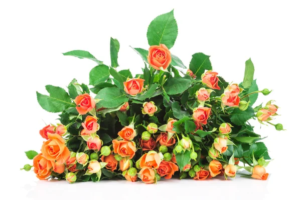 Bukett av rosor på vit — Stockfoto