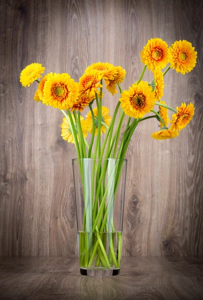 Gerberblüten in der Vase — Stockfoto