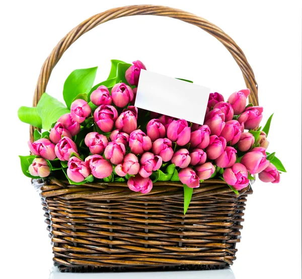 Tulipanes rosados y tarjeta de felicitación — Foto de Stock