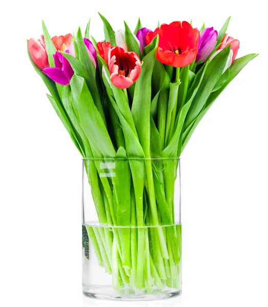 Tulipanes en jarrón sobre blanco —  Fotos de Stock