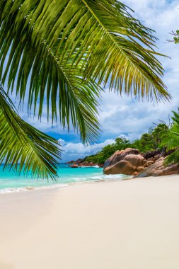Tropical beach in Seychelles clipart