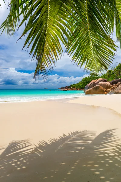 Praia tropical em Seychelles — Fotografia de Stock