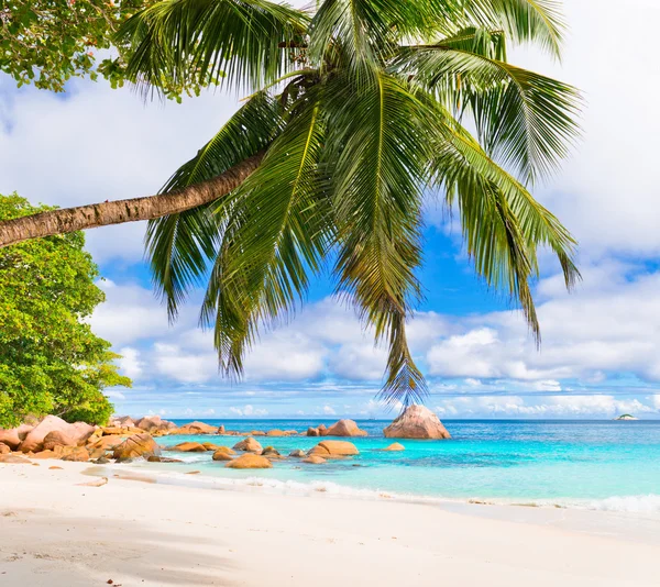 Tropisch strand in Seychellen — Stockfoto