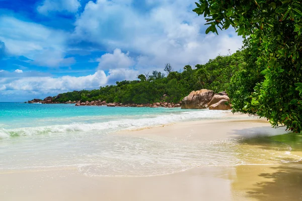 Tropisch strand in Seychellen — Stockfoto