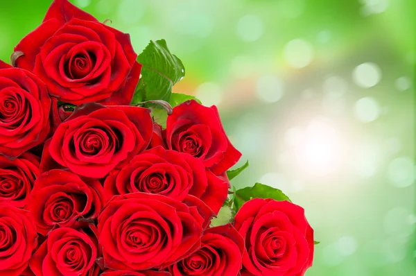 Kytice růží na zelené — Stock fotografie