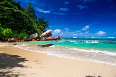 Seyşel Adaları tropikal plaj