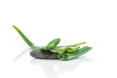 Aloe yaprakları dilimlenmiş