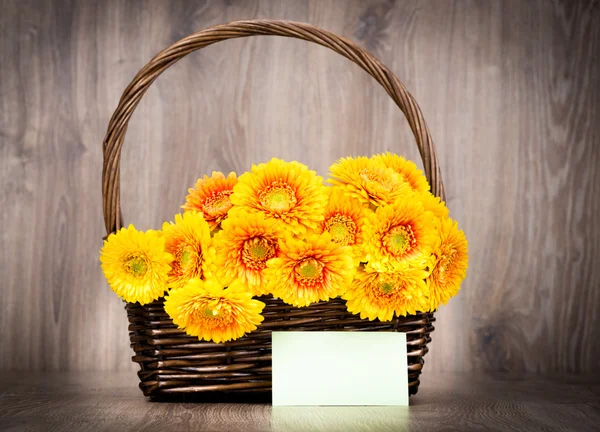 Yellow gerber flowers — Stock Photo, Image