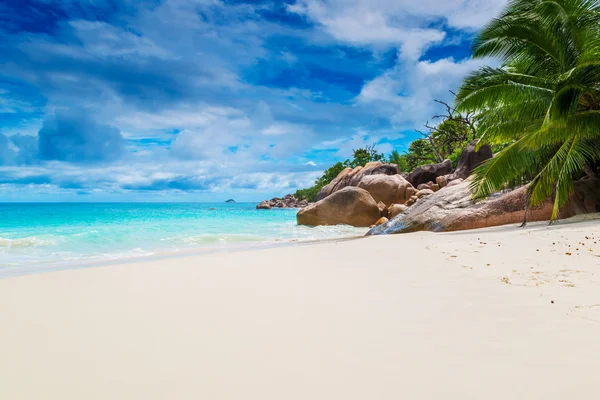 La plage tropicale des Seychelles — Photo