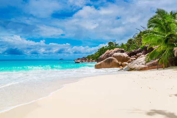 Seszele tropikalnej plaży — Zdjęcie stockowe