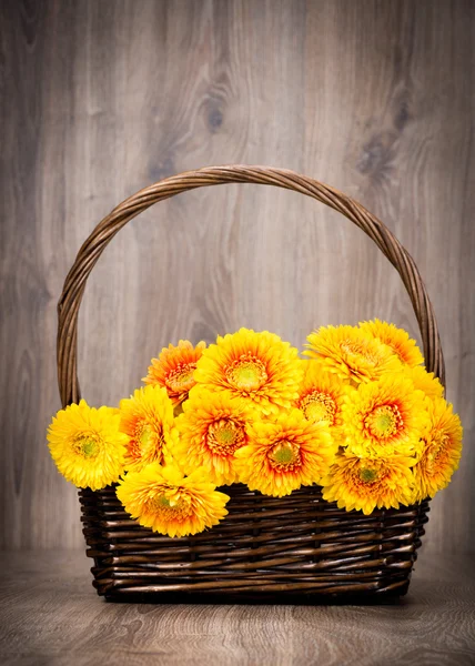 Yellow gerber flowers — Stock Photo, Image