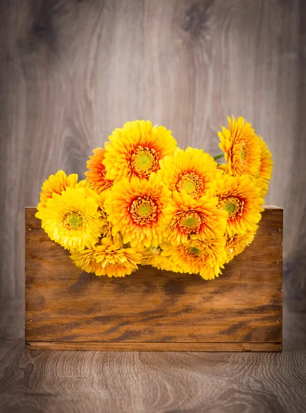 Gelbe Gerberblüten — Stockfoto