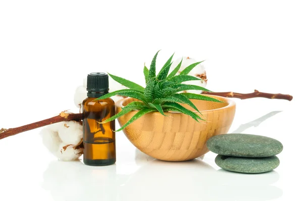 Wellness-Behandlung Set — Stockfoto