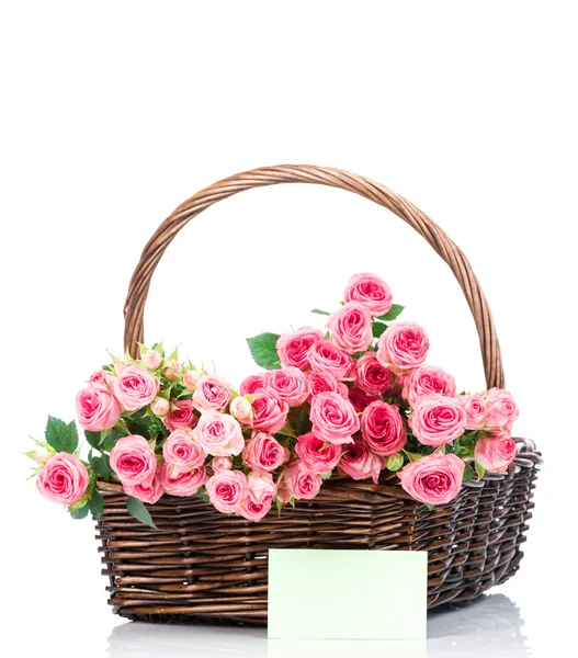 Růžové růže v košíku — Stock fotografie