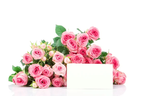 Rosa små rosor — Stockfoto