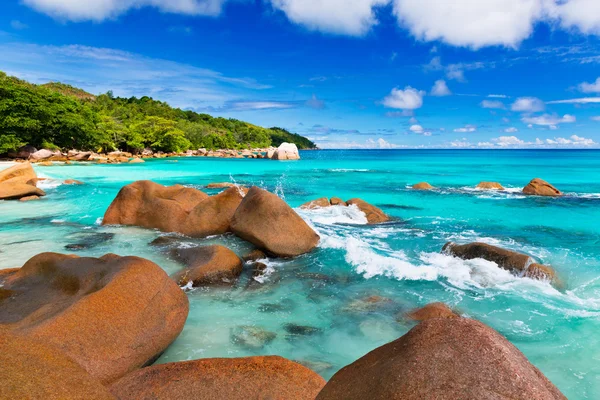 La plage tropicale des Seychelles — Photo